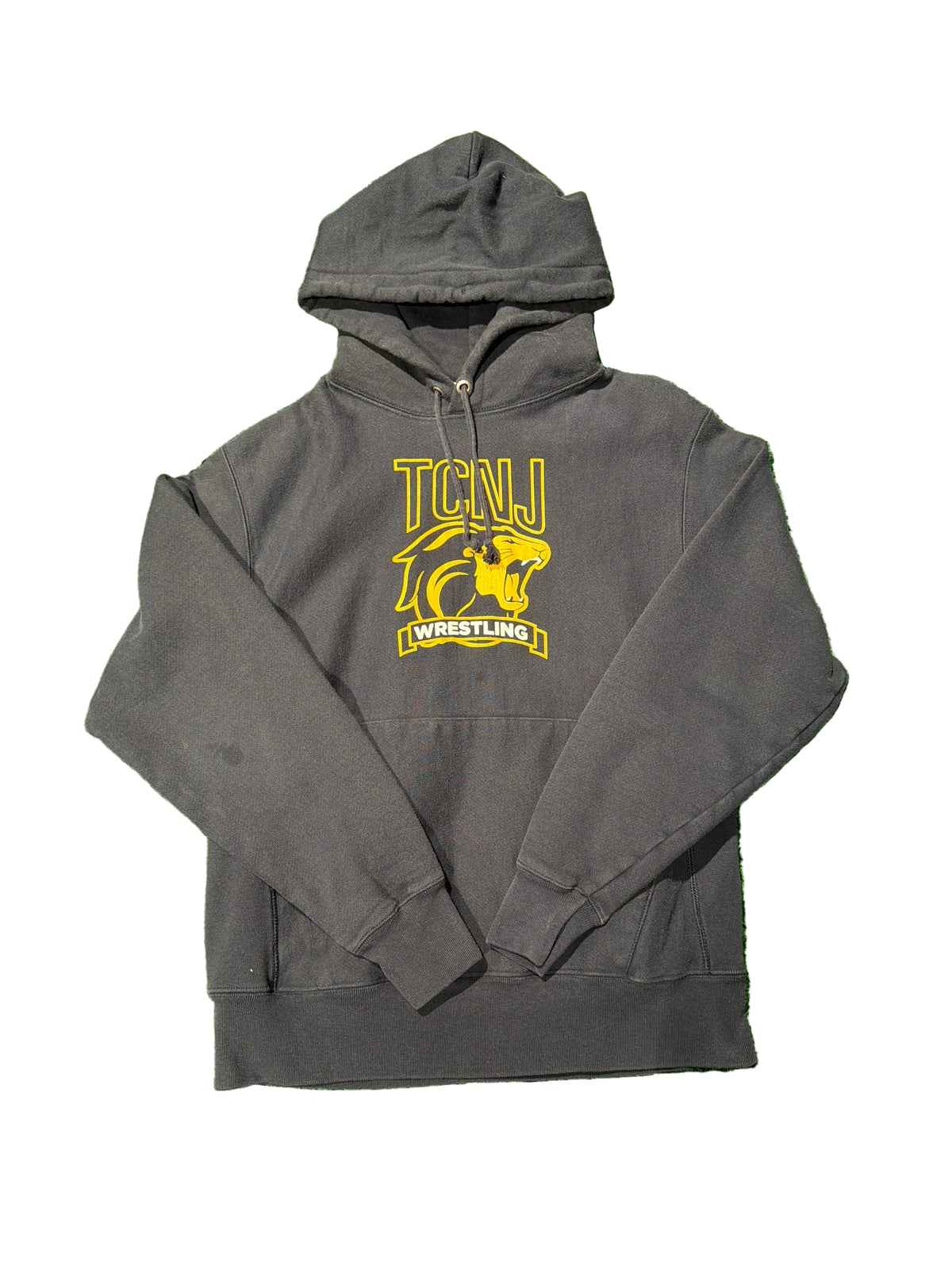 Champion Hoodie | M